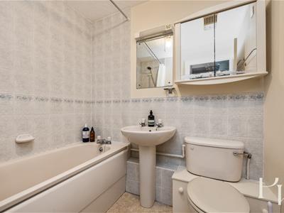 Picture 11